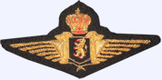 BAF pilot wing