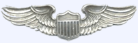 USAF pilot wing